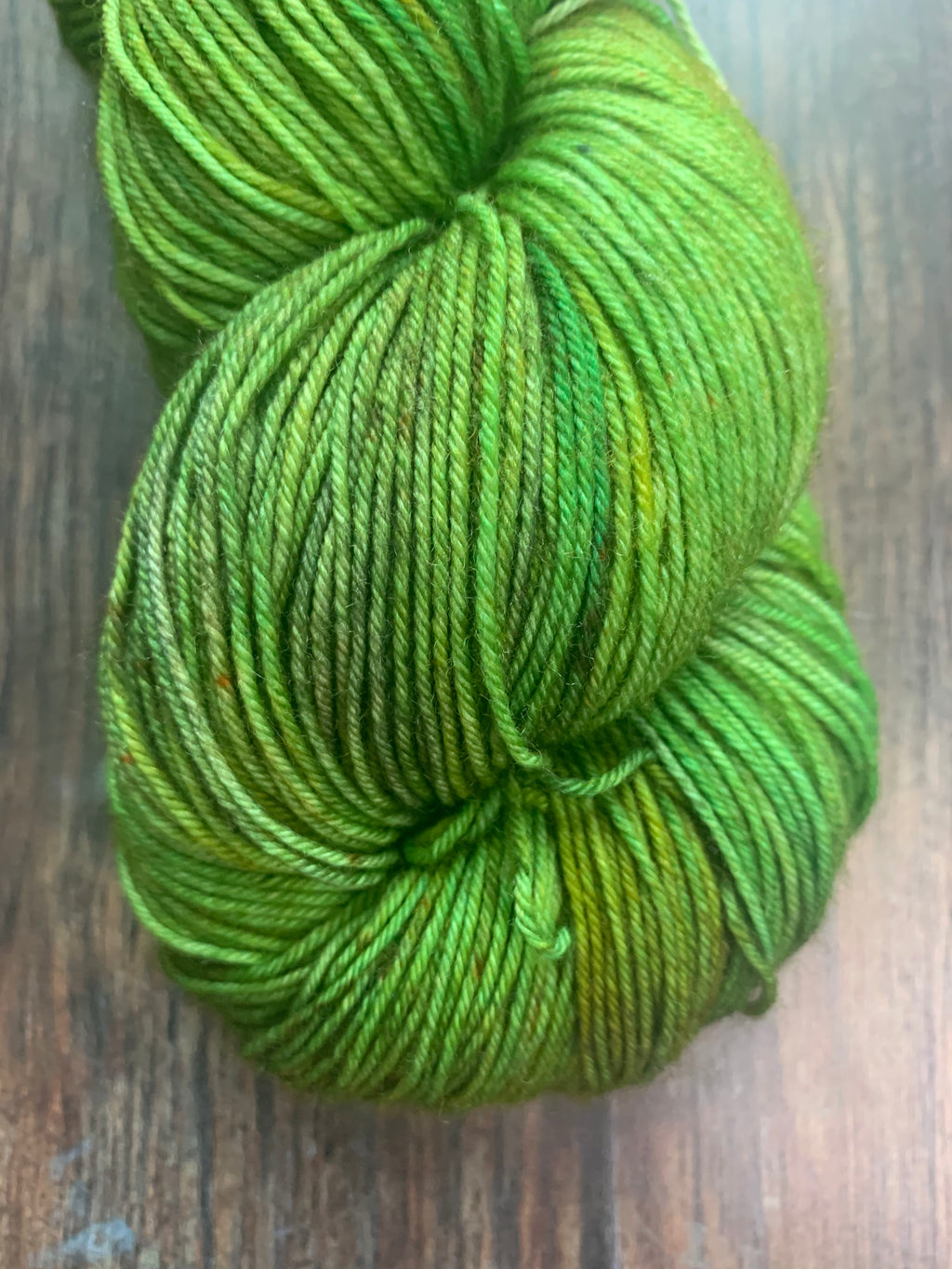 Into the Wild  |DK and  Sock Yarn - 100g